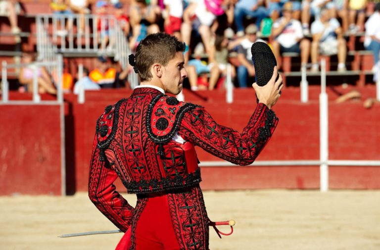 Origins and History of Bullfighting - Armando Acosta